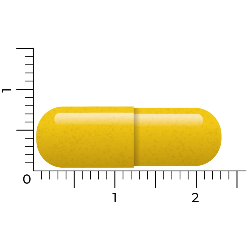 Vitakruid Berberine 500 Rebersa - Afbeelding 4