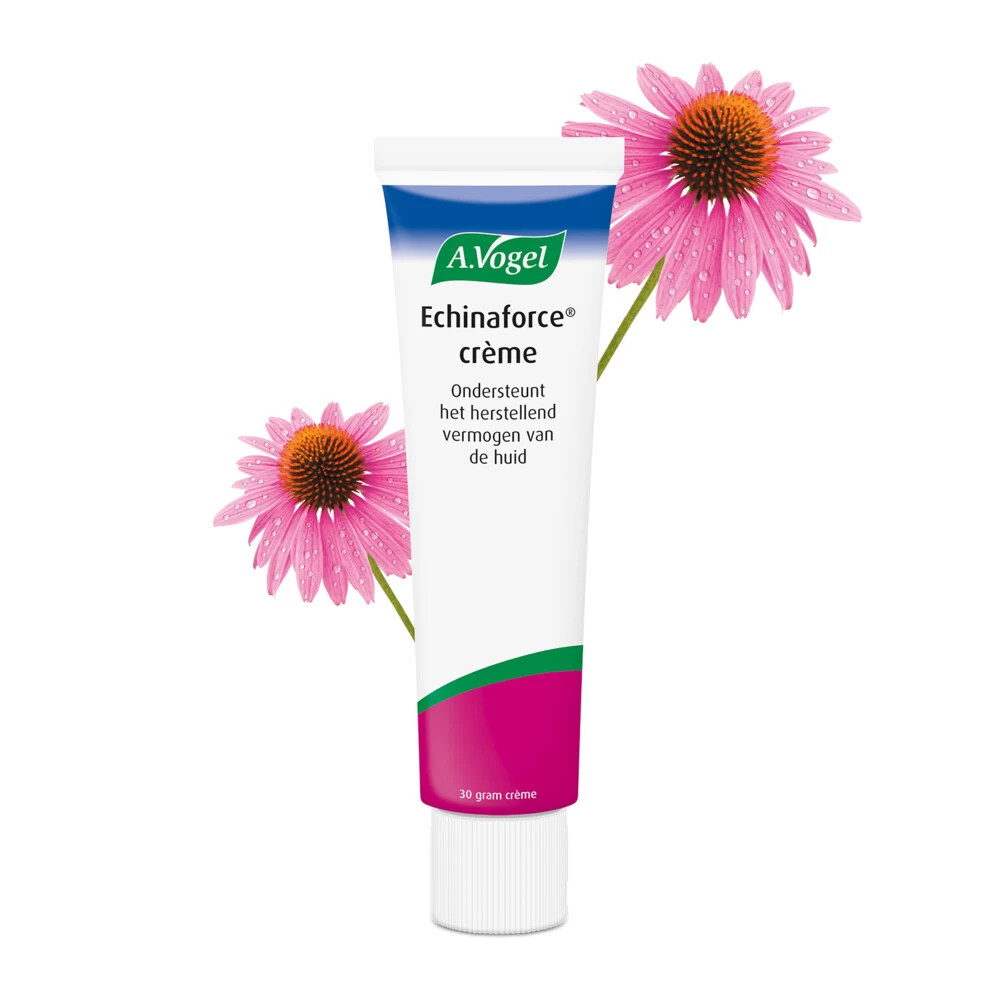 2x A.Vogel Creme Echinaforce - Afbeelding 2