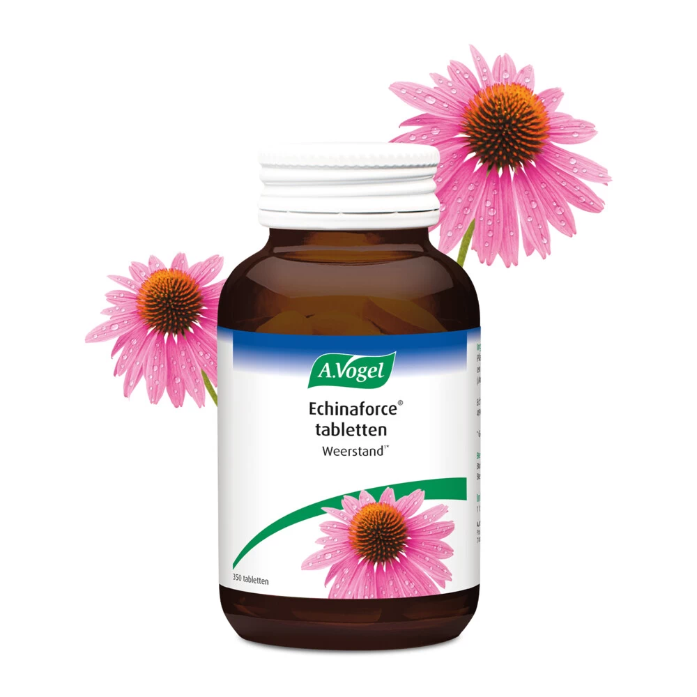 A.Vogel Echinaforce Weerstand - Afbeelding 2