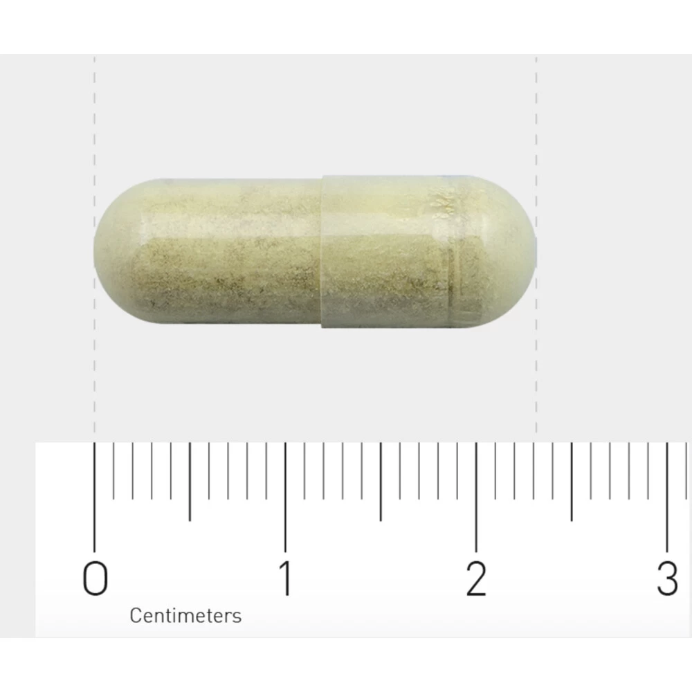 Orthica Orthisept Plus - Afbeelding 4